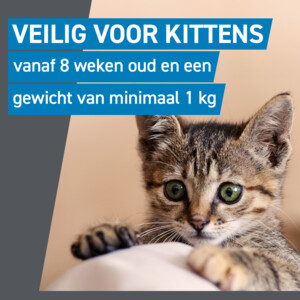 Frontline Spot On Anti Vlooien en Teken Druppels Kat vanaf 1 kg 3 pipetten