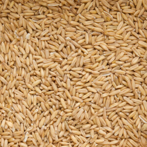 Beyers Original Gepelde Haver - 25.55 euro