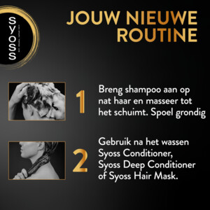 Syoss Repair Shampoo - 3.75 euro