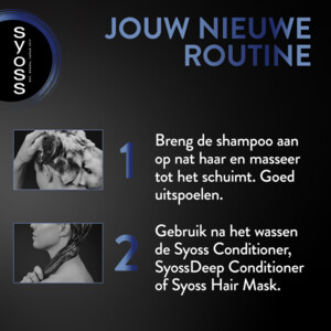 6x Syoss Anti-Dandruff Shampoo - 30.28 euro