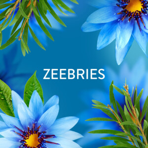 Lenor In-Wash Geurbooster Zeebries - 25.49 euro