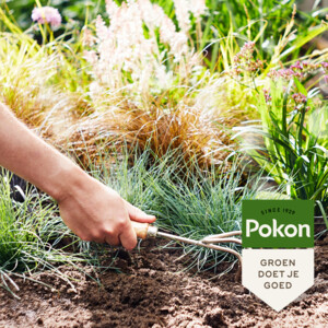 Pokon Siergrassen & Bamboe Mest - 7.59 euro