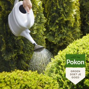 Pokon Bitterzout Groenmaker - 9.45 euro