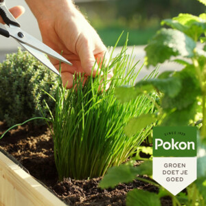 Pokon Bio Kruiden Mest - 5.95 euro