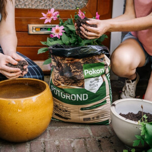 Pokon Bio Turfvrij Potgrond - 3.03 euro