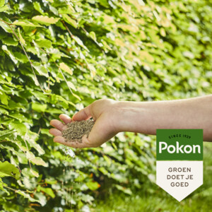 Pokon Beuken & Hagen Mest - 39.89 euro