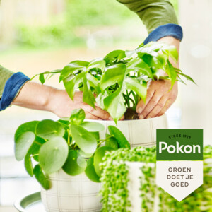 Pokon Bio Groene Planten Voeding - 4.15 euro