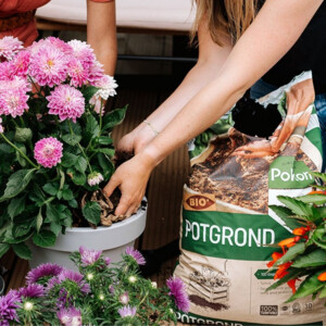 Pokon Bio Turfvrij Potgrond - 7.59 euro
