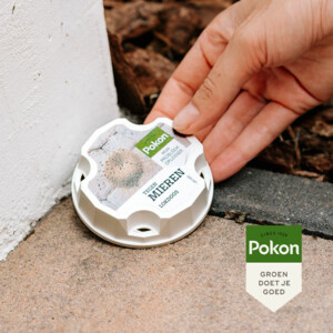 Pokon Tegen Mieren Lokdoos - 7.99 euro