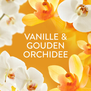 6x Lenor Wasverzachter Amber & Orchidee 87 Wasbeurten - 48.39 euro