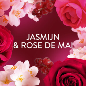Lenor Wasverzachter Jasmijn & Rose de Mai 55 Wasbeurten - 5.49 euro