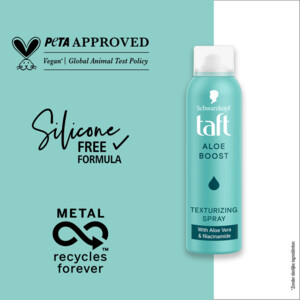6x Taft Texturizing Spray Aloe Boost - 26.19 euro
