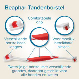 Beaphar Tandpasta + borstel - 9.75 euro