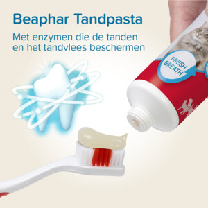 Beaphar Tandpasta + borstel - 9.75 euro