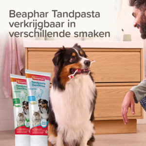 Beaphar Dental Vingerpads - 8.85 euro