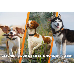 Weenect XT GPS Tracker Hond Oranje 