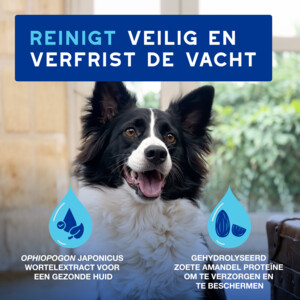 DOUXO SPA Mousse Zonder Uitspoelen Hond 150 ml