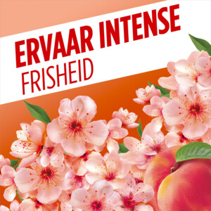 8x Ajax Allesreiniger Fête Des Fleurs Peach - 23.95 euro