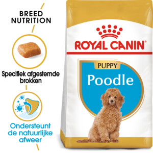 Royal Canin Poodle Puppy Hondenvoer 3 kg