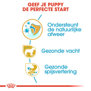 Royal Canin Poodle Puppy Hondenvoer 3 kg
