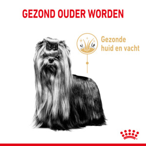 Royal Canin Yorkshire Terrier Adult 8+ Hondenvoer 3 kg