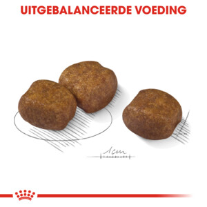 Royal Canin Dental Care Maxi 9 Hondenvoer 9 kg