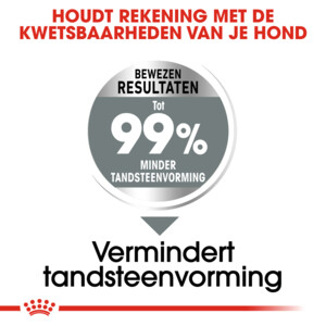 Royal Canin Dental Care Medium Hondenvoer 10 kg