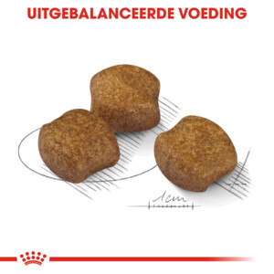 Royal Canin Dental Care Medium Hondenvoer 10 kg