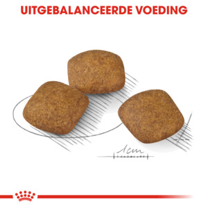 Royal Canin Relax Care Medium Hondenvoer 10 kg