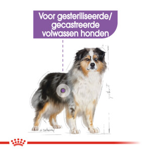Royal Canin Sterilised Medium Hondenvoer 12 kg