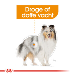 Royal Canin Coat Care Mini Hondenvoer 3 kg