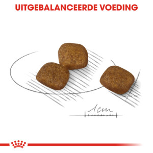 Royal Canin Coat Care Mini Hondenvoer 3 kg