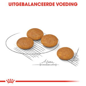 Royal Canin Dermacomfort Mini Hondenvoer 3 kg