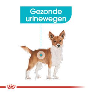 Royal Canin Hondenvoer Droog Urinary Care Mini 3 kg