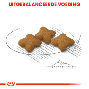 Royal Canin Sterilised Extra Small Hondenvoer 1.5 kg