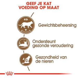 Royal Canin Kattenvoer Droog Ageing Sterilised 12+ 4 kg