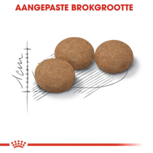 Royal Canin Kattenvoer Droog Ageing Sterilised 12+ 4 kg