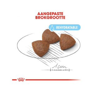 Royal Canin Hondenvoer Droog Medium Starter Mother & Babydog 15 kg