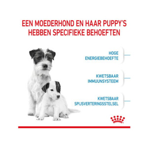 Royal Canin Hondenvoer Mini Starter Mother & Babydog 4 kg