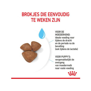 Royal Canin Hondenvoer Mini Starter Mother & Babydog 4 kg