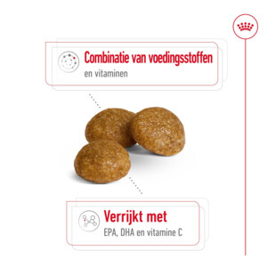 Royal Canin Extra Small Adult 8+ Hondenvoer 3 kg