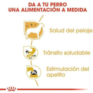 12x Royal Canin Chihuahua Adult Hondenvoer Nat 85 gr