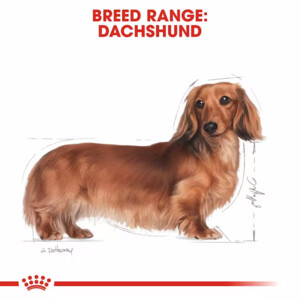 12x Royal Canin Dachshund Adult Hondenvoer Nat 85 gr