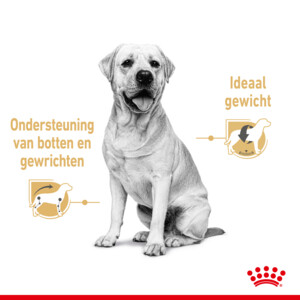 10x Royal Canin Hondenvoer Nat Labrador Adult 140 gr