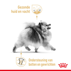 12x Royal Canin Pomeranian Adult Hondenvoer Nat 85 gr