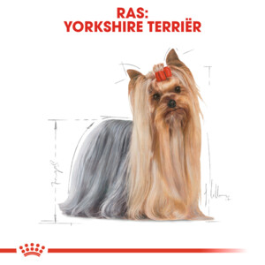 12x Royal Canin Yorkshire Terrier Adult Hondenvoer Nat 85 gr