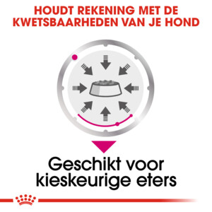 12x Royal Canin Exigent Hondenvoer Nat 85 gr