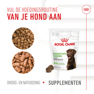 Royal Canin Supplement Digestion 160 gr
