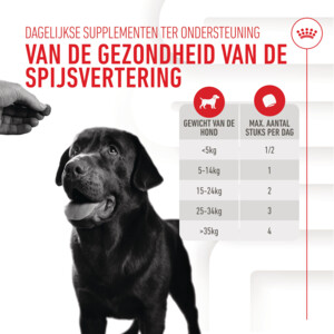 Royal Canin Supplement Digestion 160 gr