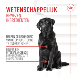 Royal Canin Supplement Digestion 160 gr
